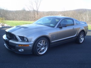 shelby-gt-500-for-sale